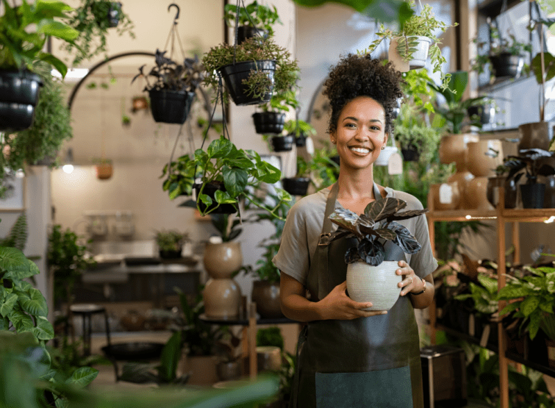 Sole Trader or Limited Company?