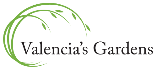 Valencia’s Gardens