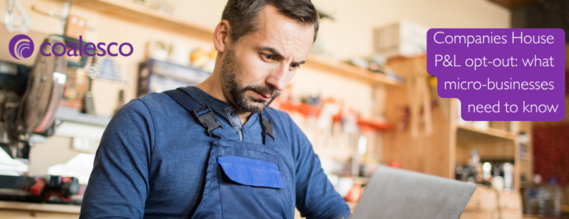 Companies House P&L opt-out: what micro-businesses need to know